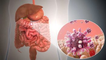 detail-main-Gastroenteritis-Demystified